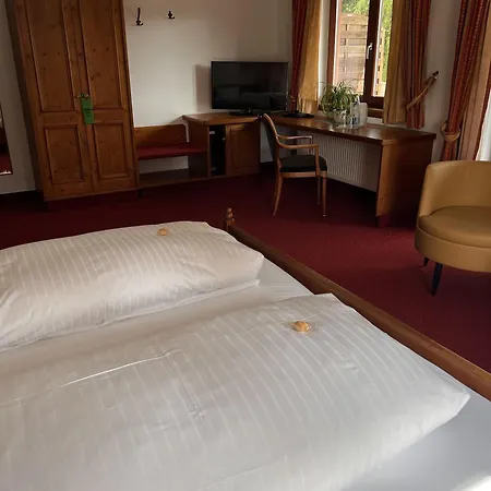 Parkhotel Krone Maleck-3