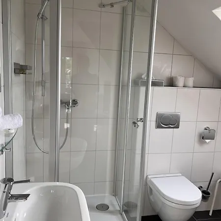 Parkhotel Krone Maleck-2