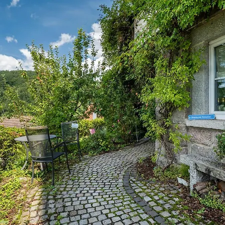 Wein- und Klimahotel Bergfriedel-3