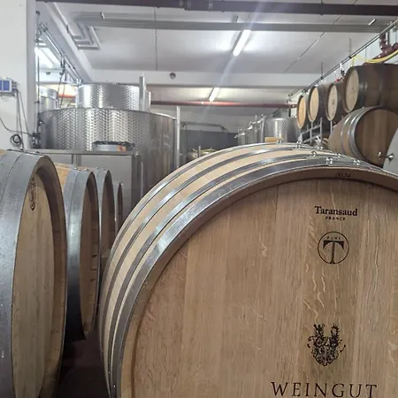 Weingut Leininger Ferienwohnungen-3