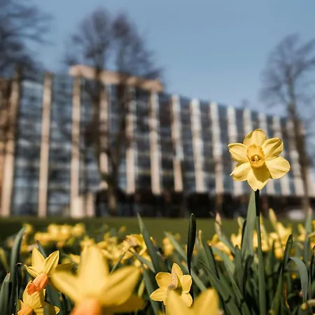 Sheraton Essen Hotel-2