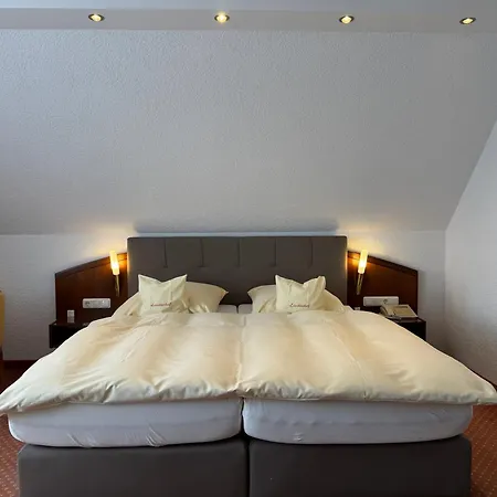 Hotel Lindenhof Kasteel-3