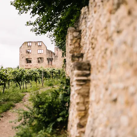 Weinzuhause Hotel-Restaurant-Vinothek-2