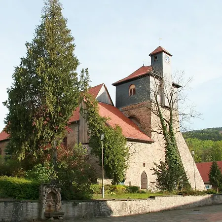 Kurpark Hotel Im Ilsetal-3