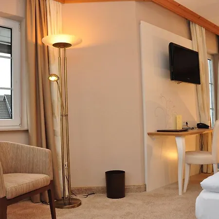 Hotel Sauerländer Hof-3