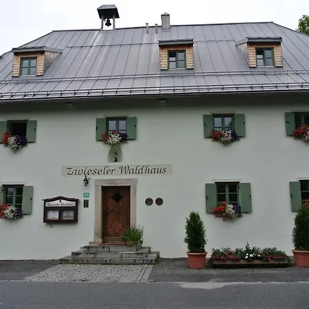 Zwieseler Waldhaus-3