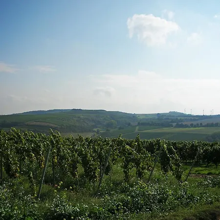 Landhotel&Weingut Espenhof-2