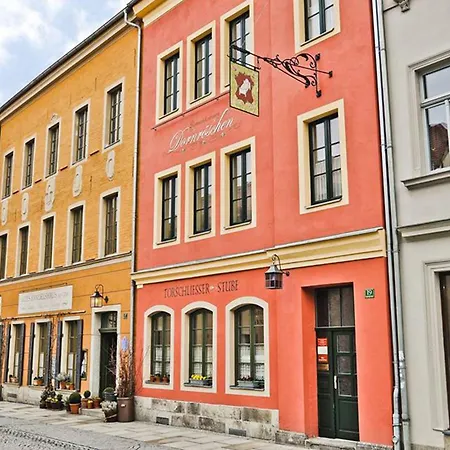 Altes Handelshaus Plauen-2