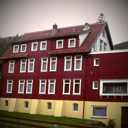 Pension "Am Wald"-3