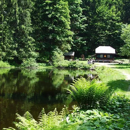 Pension Waldesruh-3