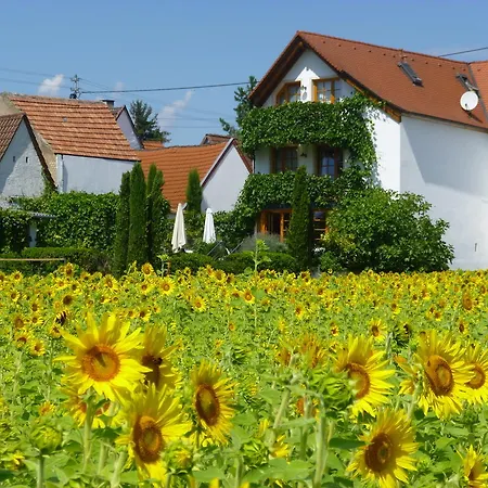 Landhotel Kallstadt-2