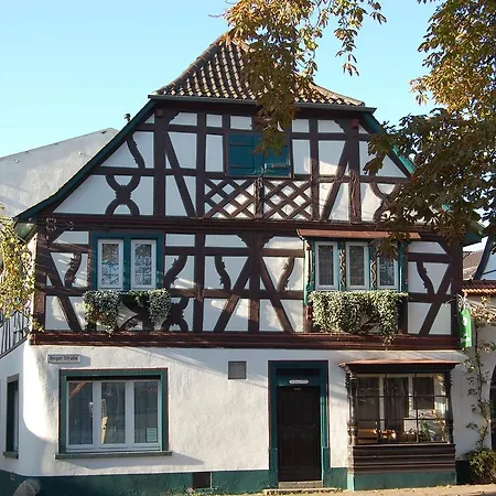 Hotel Grüner Baum-3
