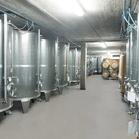 Pension und Weingut Moselblick-3