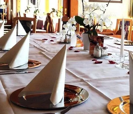 Hegaustern-2
