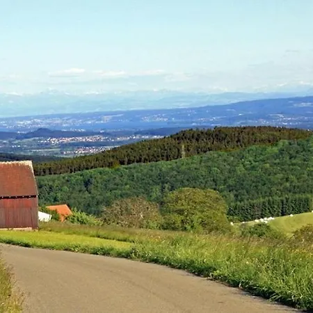 Hegaustern-3