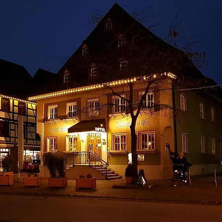 Hotel-Gasthof Schwarzer Adler-2
