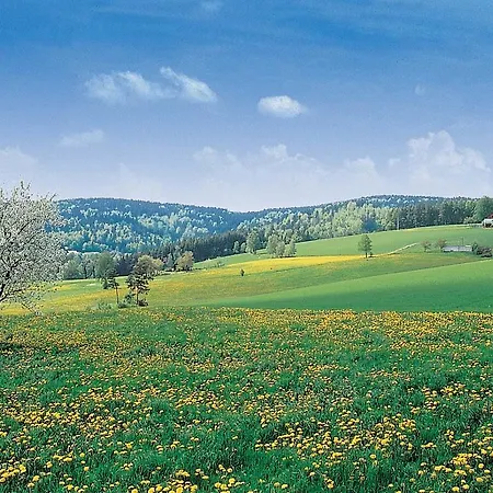 Hotel Steinwaldhaus-2