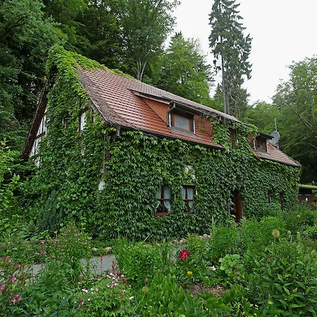 Hotel Boltenmühle-3