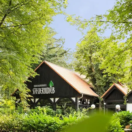 Restaurant&Logis Steuerndieb-3