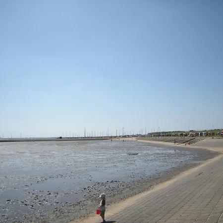 Strandgut-2