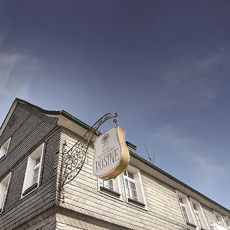 Hotel Rosine-2