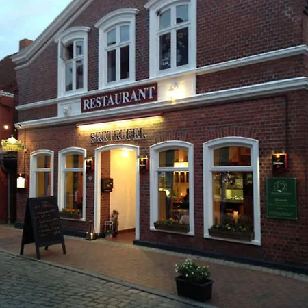 Meeresstern-2