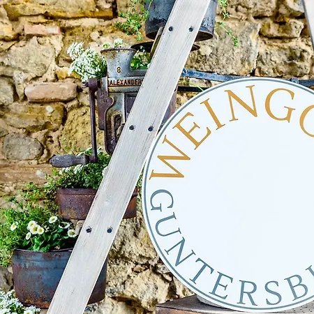 Landhotel Weingold Guntersblum-3