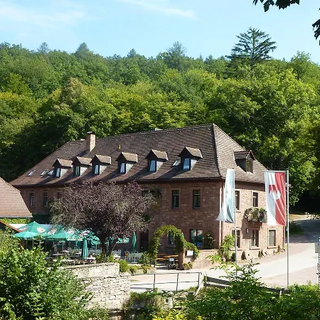 Hotelgasthof Buchenmühle-3