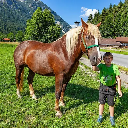 Gröbl-Alm Haus zur schönen Aussicht-3