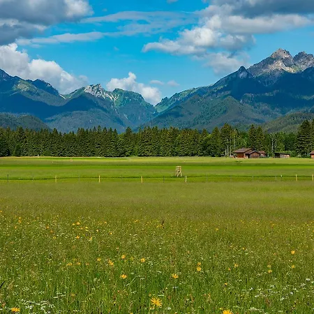 Gröbl-Alm Haus zur schönen Aussicht-2