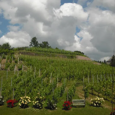Weingut Mariaberg-2