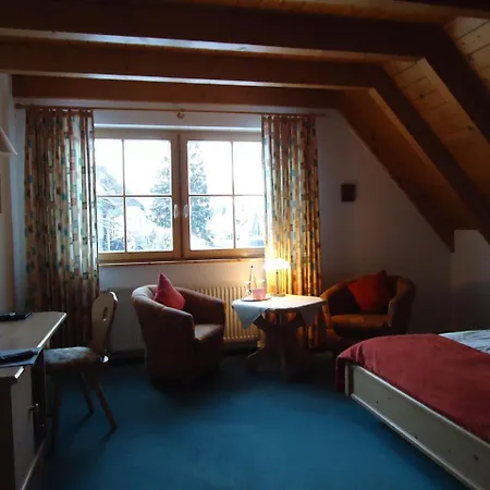 Berghotel Schiller-3