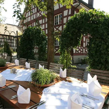 Historisches Gasthaus Hotel Hirschen Horn-3