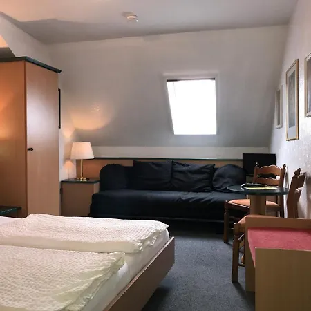 Hotel-Landgasthof Grüner Baum - Dittigheim-3
