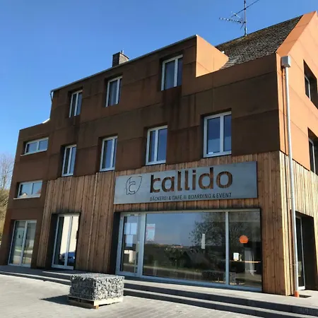 Kallido-2