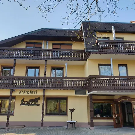 Ringhotel Pflug-3