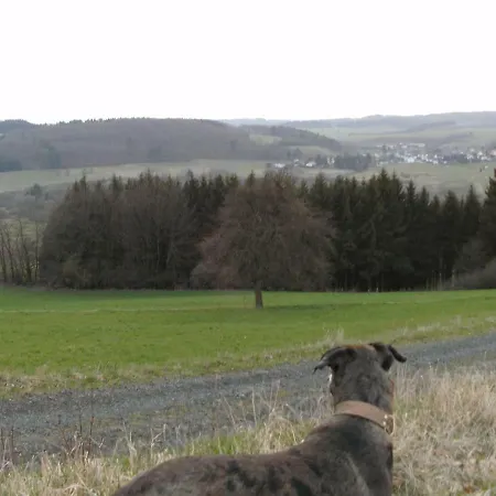 Funny-Farm-3
