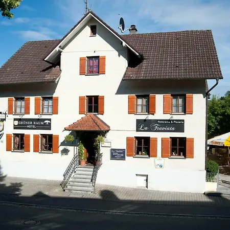 Hotel Grüner Baum-2