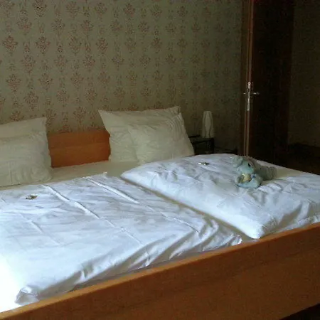 Hotel Schloss Romrod-3