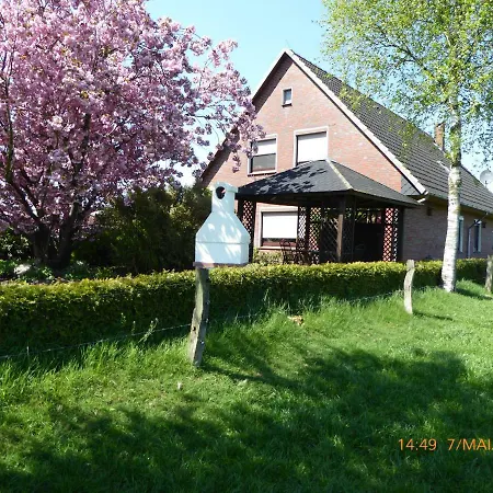 Schmidtfewo Moorgeist-2