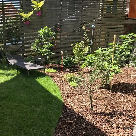 Blackbird´s Nest-3