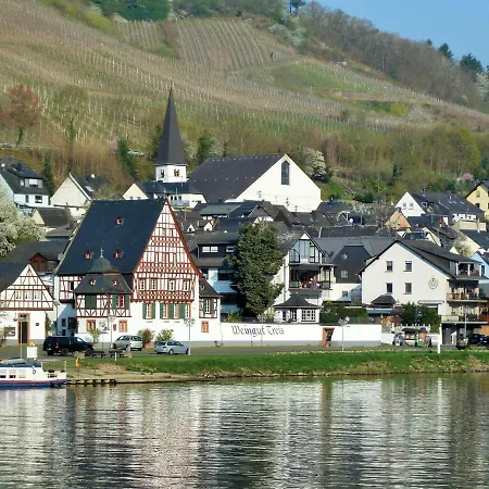 Mosel Ausblick-2