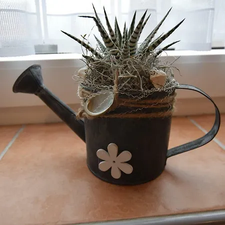 Ferienwohnung Haus Möwe-2