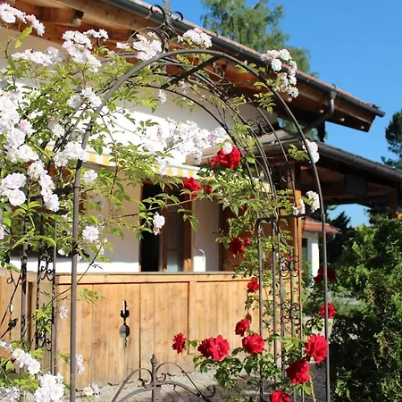 Appartementhaus Schirsner - direkt am See&am Kurpark-2