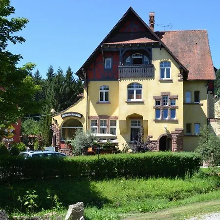 Hotel Dammenmuehle-2