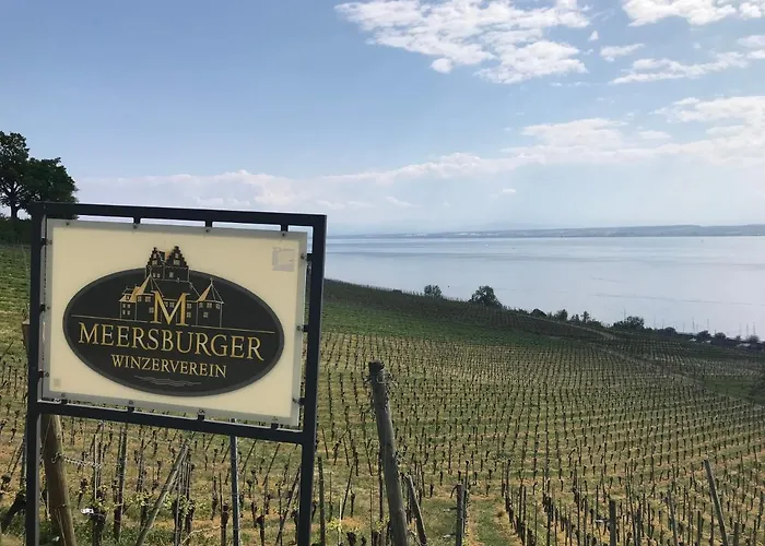 Zum Lieben Augustin