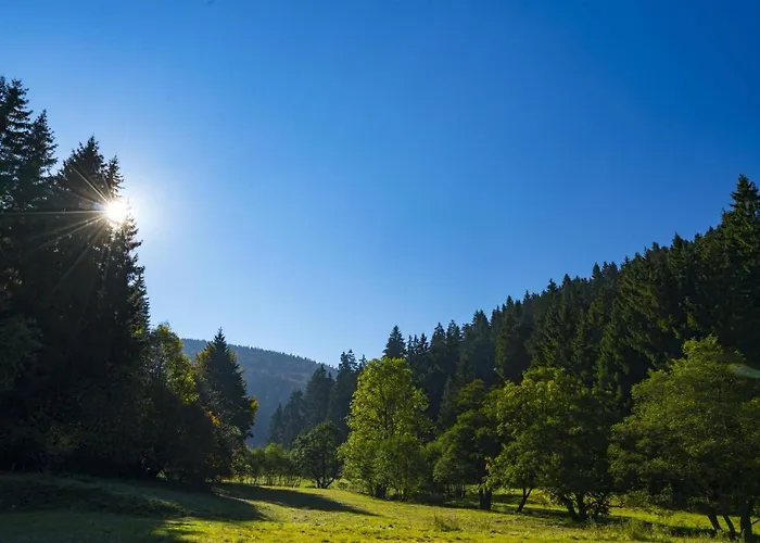 The Conscious Farmer Bed&Breakfast Sauerland Willingen , Deutschland