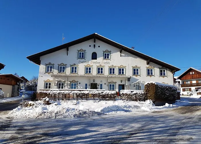 Hirsch