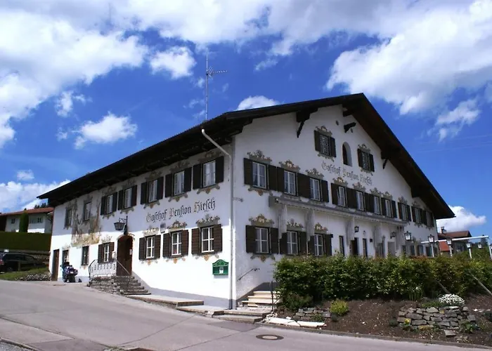 Hirsch