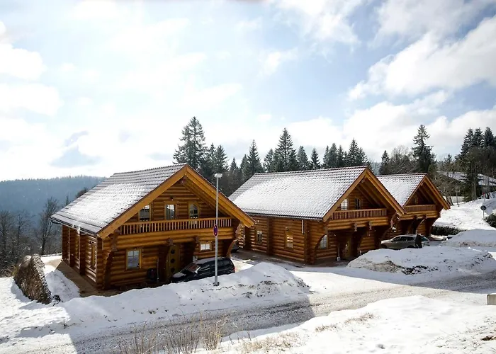 Luxus- Blockhaus Chalet Nr 1 Toplage Am Feldberg Mit Sauna